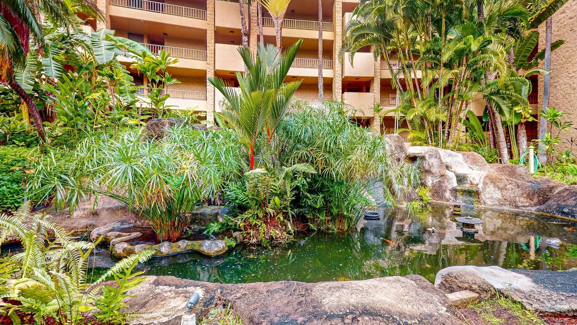 Апартаменты Paki Maui Penthouse 409 Кахана 0*,  США